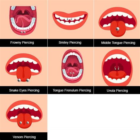 tung piercing|Tongue Piercing Types: Complete Guide